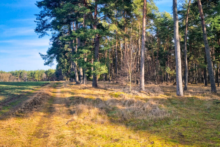 heilpraxis heilpraktiker psychotherapie potsdam berlin flaeming