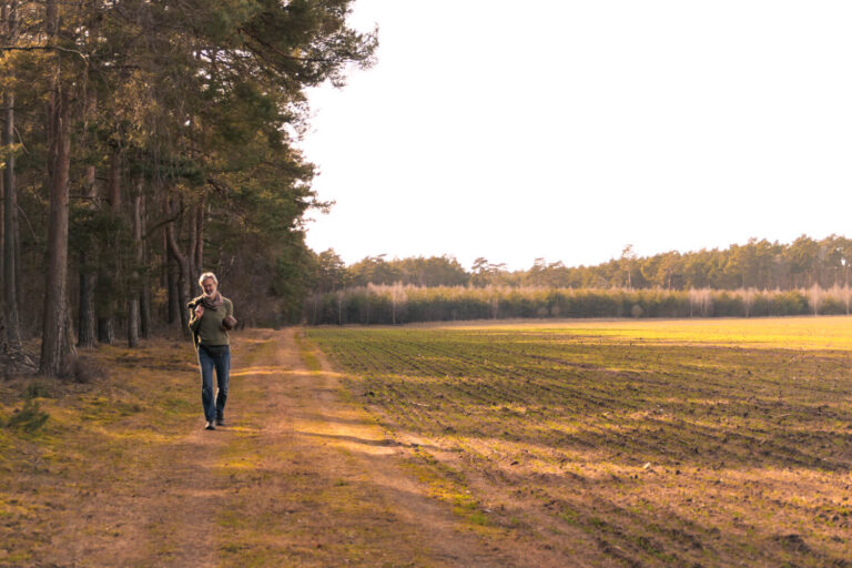 kai hellmich psychotherapeutische integrationsarbeit naturraum trauma stress burnout